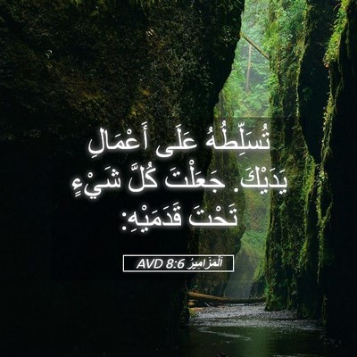 Picture 05 - اَلْمَزَامِيرُ 8:6 AVD - تُسَلِّطُهُ عَلَى - Bible Verse Picture