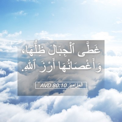 Picture 05 - اَلْمَزَامِيرُ 80:10 AVD - غَطَّى ٱلْجِبَالَ - Bible Verse Picture