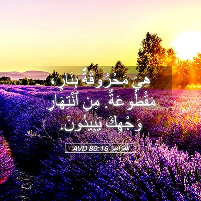Picture 05 - اَلْمَزَامِيرُ 80:16 AVD - هِيَ مَحْرُوقَةٌ بِنَارٍ، - Bible Verse Picture