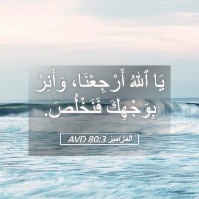 Picture 05 - اَلْمَزَامِيرُ 80:3 AVD - يَا ٱللهُ أَرْجِعْنَا، - Bible Verse Picture