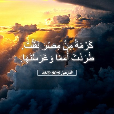 Picture 05 - اَلْمَزَامِيرُ 80:8 AVD - كَرْمَةً مِنْ مِصْرَ - Bible Verse Picture