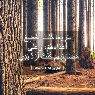 Picture 05 - اَلْمَزَامِيرُ 81:14 AVD - سَرِيعًا كُنْتُ أُخْضِعُ - Bible Verse Picture
