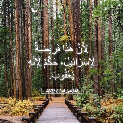 Picture 05 - اَلْمَزَامِيرُ 81:4 AVD - لِأَنَّ هَذَا فَرِيضَةٌ - Bible Verse Picture