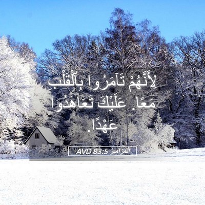 Picture 05 - اَلْمَزَامِيرُ 83:5 AVD - لِأَنَّهُمْ تَآمَرُوا - Bible Verse Picture