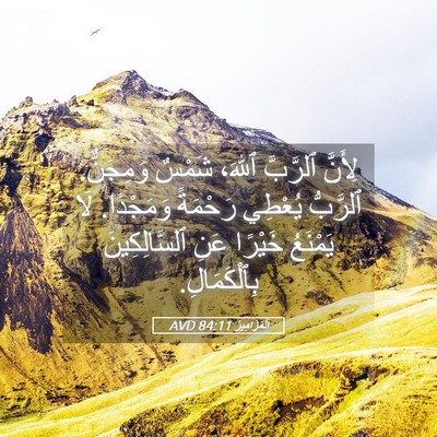 Picture 05 - اَلْمَزَامِيرُ 84:11 AVD - لِأَنَّ ٱلرَّبَّ ٱللهَ، - Bible Verse Picture