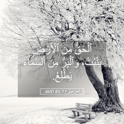 Picture 05 - اَلْمَزَامِيرُ 85:11 AVD - ٱلْحَقُّ مِنَ ٱلْأَرْضِ - Bible Verse Picture