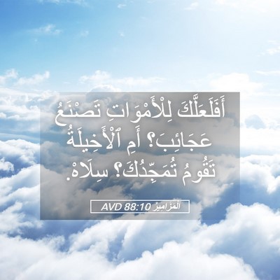 Picture 05 - اَلْمَزَامِيرُ 88:10 AVD - أَفَلَعَلَّكَ - Bible Verse Picture