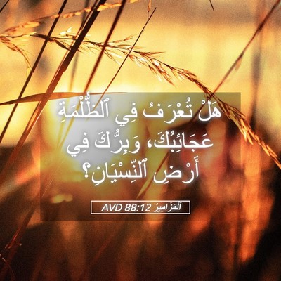 Picture 05 - اَلْمَزَامِيرُ 88:12 AVD - هَلْ تُعْرَفُ فِي - Bible Verse Picture