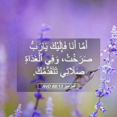 Picture 05 - اَلْمَزَامِيرُ 88:13 AVD - أَمَّا أَنَا فَإِلَيْكَ - Bible Verse Picture