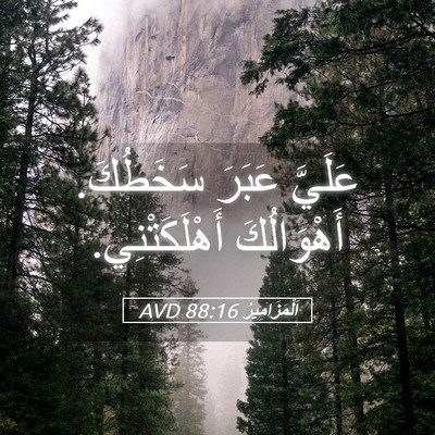 Picture 05 - اَلْمَزَامِيرُ 88:16 AVD - عَلَيَّ عَبَرَ سَخَطُكَ. - Bible Verse Picture