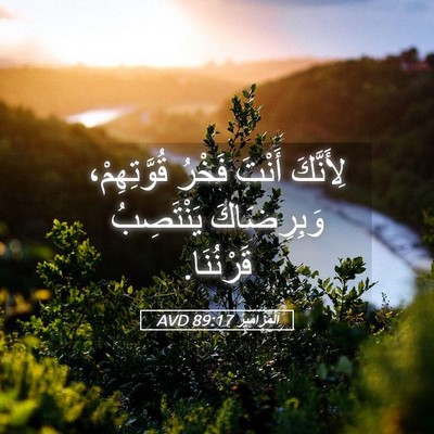 Picture 05 - اَلْمَزَامِيرُ 89:17 AVD - لِأَنَّكَ أَنْتَ فَخْرُ - Bible Verse Picture