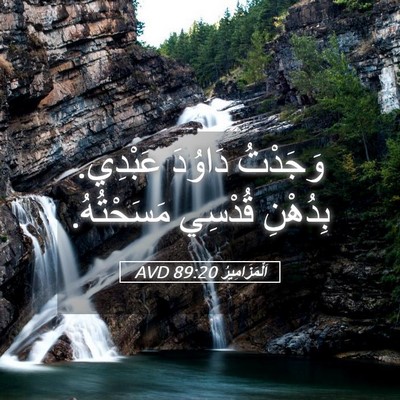 Picture 05 - اَلْمَزَامِيرُ 89:20 AVD - وَجَدْتُ دَاوُدَ عَبْدِي. - Bible Verse Picture