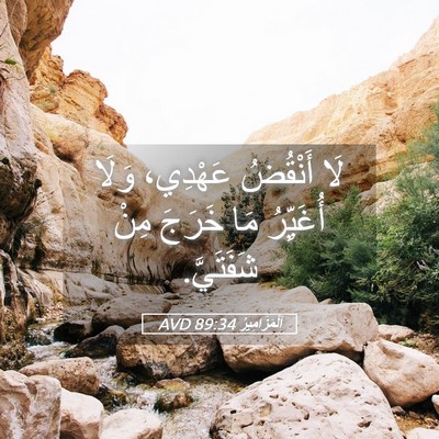 Picture 05 - اَلْمَزَامِيرُ 89:34 AVD - لَا أَنْقُضُ عَهْدِي، - Bible Verse Picture