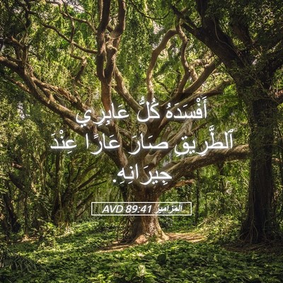 Picture 05 - اَلْمَزَامِيرُ 89:41 AVD - أَفْسَدَهُ كُلُّ عَابِرِي - Bible Verse Picture