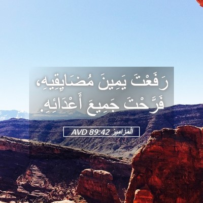Picture 05 - اَلْمَزَامِيرُ 89:42 AVD - رَفَعْتَ يَمِينَ - Bible Verse Picture