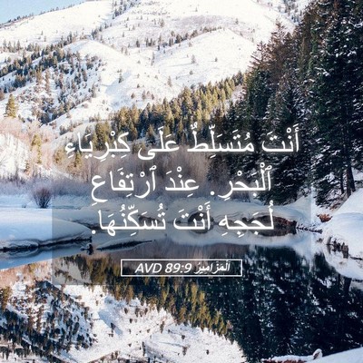Picture 05 - اَلْمَزَامِيرُ 89:9 AVD - أَنْتَ مُتَسَلِّطٌ عَلَى - Bible Verse Picture