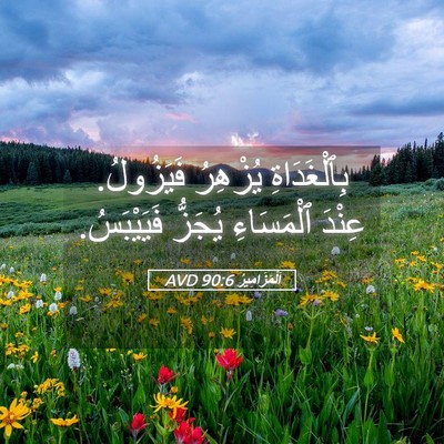 Picture 05 - اَلْمَزَامِيرُ 90:6 AVD - بِٱلْغَدَاةِ يُزْهِرُ - Bible Verse Picture