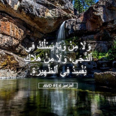 Picture 05 - اَلْمَزَامِيرُ 91:6 AVD - وَلَا مِنْ وَبَإٍ يَسْلُكُ - Bible Verse Picture