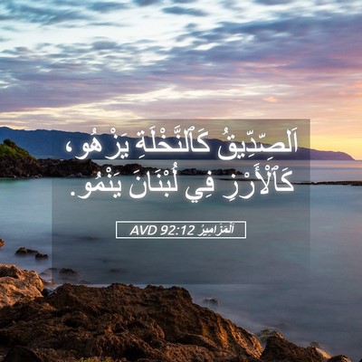 Picture 05 - اَلْمَزَامِيرُ 92:12 AVD - اَلصِّدِّيقُ - Bible Verse Picture