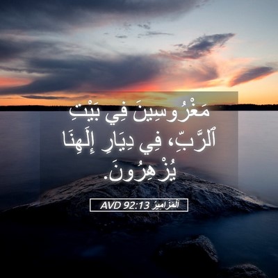 Picture 05 - اَلْمَزَامِيرُ 92:13 AVD - مَغْرُوسِينَ فِي بَيْتِ - Bible Verse Picture