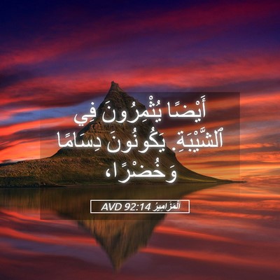 Picture 05 - اَلْمَزَامِيرُ 92:14 AVD - أَيْضًا يُثْمِرُونَ فِي - Bible Verse Picture