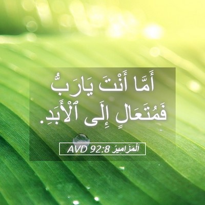 Picture 05 - اَلْمَزَامِيرُ 92:8 AVD - أَمَّا أَنْتَ يَارَبُّ - Bible Verse Picture