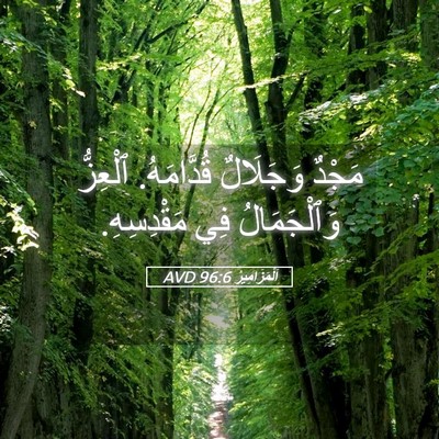 Picture 05 - اَلْمَزَامِيرُ 96:6 AVD - مَجْدٌ وَجَلَالٌ - Bible Verse Picture