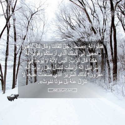 Picture 05 - اَلْمُلُوكِ ٱلثَّانِي 1:6 AVD - فَقَالُوا لَهُ: «صَعِدَ - Bible Verse Picture