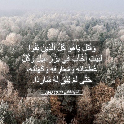 Picture 05 - اَلْمُلُوكِ ٱلثَّانِي 10:11 AVD - وَقَتَلَ يَاهُو كُلَّ - Bible Verse Picture