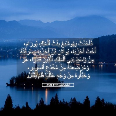 Picture 05 - اَلْمُلُوكِ ٱلثَّانِي 11:2 AVD - فَأَخَذَتْ يَهُوشَبَعُ - Bible Verse Picture
