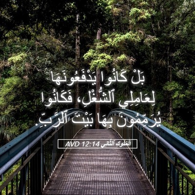Picture 05 - اَلْمُلُوكِ ٱلثَّانِي 12:14 AVD - بَلْ كَانُوا - Bible Verse Picture