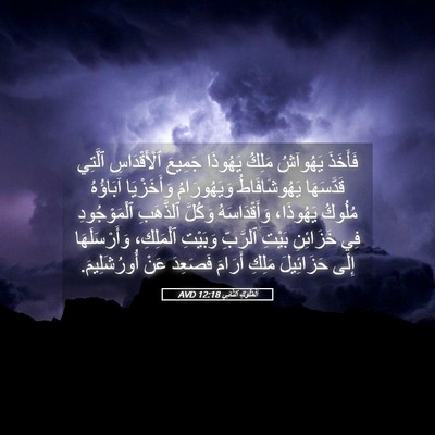 Picture 05 - اَلْمُلُوكِ ٱلثَّانِي 12:18 AVD - فَأَخَذَ يَهُوآشُ مَلِكُ - Bible Verse Picture