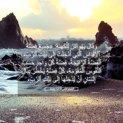 Picture 05 - اَلْمُلُوكِ ٱلثَّانِي 12:4 AVD - وَقَالَ يَهُوآشُ - Bible Verse Picture
