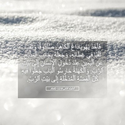 Picture 05 - اَلْمُلُوكِ ٱلثَّانِي 12:9 AVD - فَأَخَذَ يَهُويَادَاعُ - Bible Verse Picture