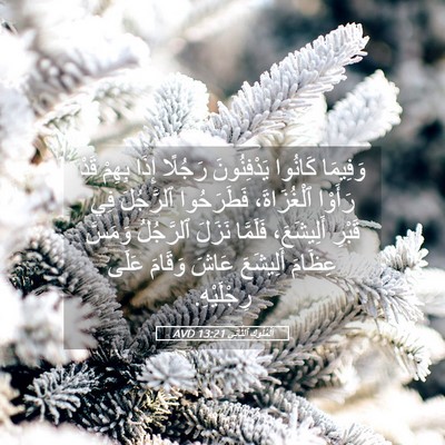 Picture 05 - اَلْمُلُوكِ ٱلثَّانِي 13:21 AVD - وَفِيمَا كَانُوا - Bible Verse Picture