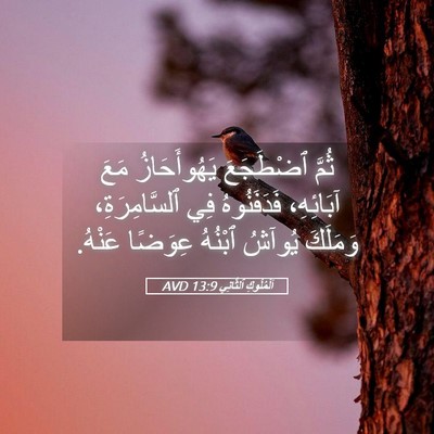 Picture 05 - اَلْمُلُوكِ ٱلثَّانِي 13:9 AVD - ثُمَّ ٱضْطَجَعَ - Bible Verse Picture