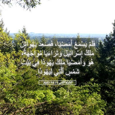 Picture 05 - اَلْمُلُوكِ ٱلثَّانِي 14:11 AVD - فَلَمْ يَسْمَعْ - Bible Verse Picture