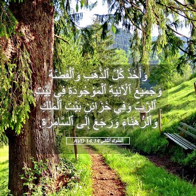 Picture 05 - اَلْمُلُوكِ ٱلثَّانِي 14:14 AVD - وَأَخَذَ كُلَّ ٱلذَّهَبِ - Bible Verse Picture