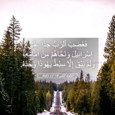 Picture 05 - اَلْمُلُوكِ ٱلثَّانِي 17:18 AVD - فَغَضِبَ ٱلرَّبُّ جِدًّا - Bible Verse Picture