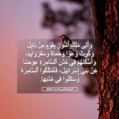 Picture 05 - اَلْمُلُوكِ ٱلثَّانِي 17:24 AVD - وَأَتَى مَلِكُ أَشُّورَ - Bible Verse Picture