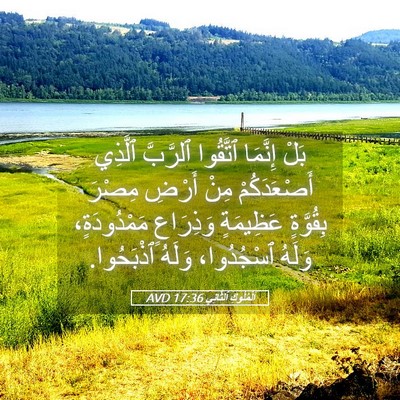 Picture 05 - اَلْمُلُوكِ ٱلثَّانِي 17:36 AVD - بَلْ إِنَّمَا ٱتَّقُوا - Bible Verse Picture