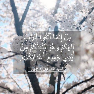 Picture 05 - اَلْمُلُوكِ ٱلثَّانِي 17:39 AVD - بَلْ إِنَّمَا ٱتَّقُوا - Bible Verse Picture