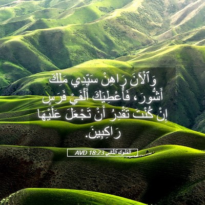 Picture 05 - اَلْمُلُوكِ ٱلثَّانِي 18:23 AVD - وَٱلْآنَ رَاهِنْ سَيِّدِي - Bible Verse Picture