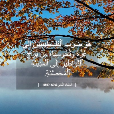 Picture 05 - اَلْمُلُوكِ ٱلثَّانِي 18:8 AVD - هُوَ ضَرَبَ - Bible Verse Picture