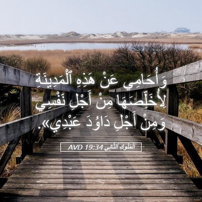 Picture 05 - اَلْمُلُوكِ ٱلثَّانِي 19:34 AVD - وَأُحَامِي عَنْ هَذِهِ - Bible Verse Picture