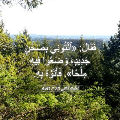 Picture 05 - اَلْمُلُوكِ ٱلثَّانِي 2:20 AVD - فَقَالَ: «ٱئْتُونِي - Bible Verse Picture