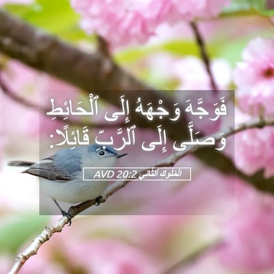 Picture 05 - اَلْمُلُوكِ ٱلثَّانِي 20:2 AVD - فَوَجَّهَ وَجْهَهُ إِلَى - Bible Verse Picture