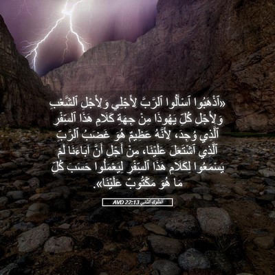 Picture 05 - اَلْمُلُوكِ ٱلثَّانِي 22:13 AVD - «ٱذْهَبُوا ٱسْأَلُوا - Bible Verse Picture