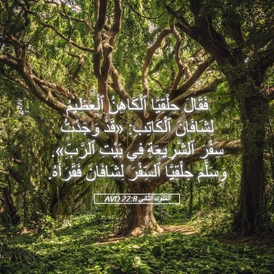 Picture 05 - اَلْمُلُوكِ ٱلثَّانِي 22:8 AVD - فَقَالَ حِلْقِيَّا - Bible Verse Picture
