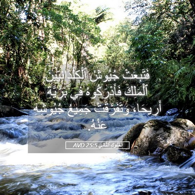 Picture 05 - اَلْمُلُوكِ ٱلثَّانِي 25:5 AVD - فَتَبِعَتْ جُيُوشُ - Bible Verse Picture